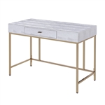 Piety Executive Home Office Desk in Silver PU & Champagne Finish by Acme - 92425