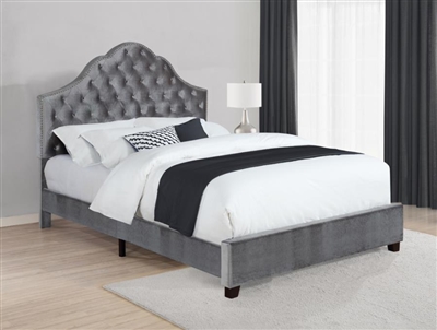 Abbeville Grey Velvet Upholstered Bed by Coaster - 315891Q