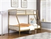 Kidron Twin Full Bunk Bed in Matte Gold Finish by Coaster - 401667
