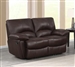 Clifford Reclining Loveseat in Chocolate Brown Leather by Coaster - 600282