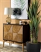 36 Inch Accent Cabinet in Brown and Antique Gold Finish by Coaster - 953496