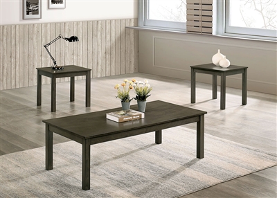 Cecily 3 Piece Occasional Table Set in Gray Finish by Furniture of America - FOA-CM4149GY-3PK