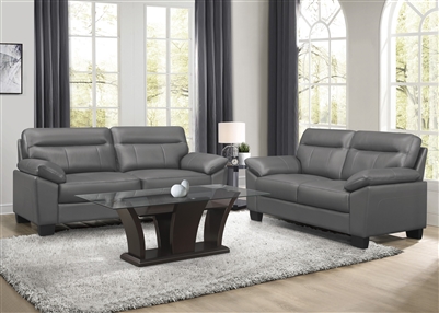 Denizen 2 Piece Sofa Set in Dark Gray by Home Elegance - HEL-9537DGY