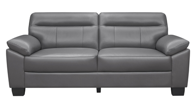 Denizen Sofa in Dark Gray by Home Elegance - HEL-9537DGY-3