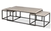 Crossings Monaco Rectangular Nesting Cocktail Table in Weathered Blanc Finish by Parker House - MON#01
